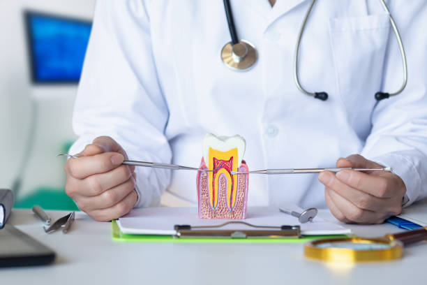 Best Emergency Tooth Extraction in Blacksburg, SC